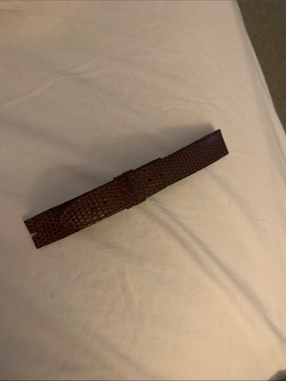 Men's Dark Brown Lizard-Texture Leather Watch Strap